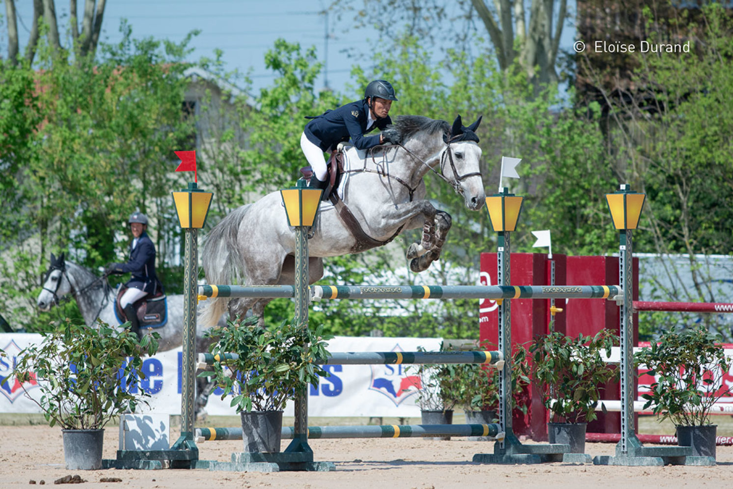 Photographie du cheval