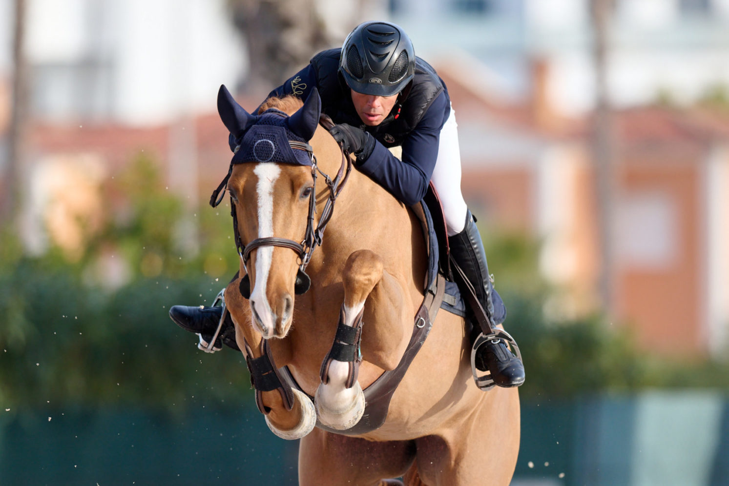 Photographie du cheval