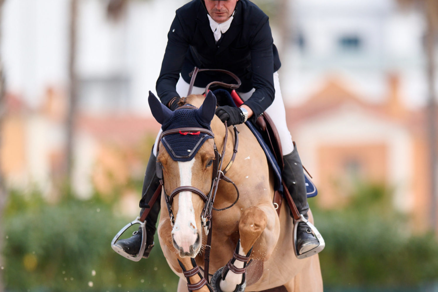 Photographie du cheval