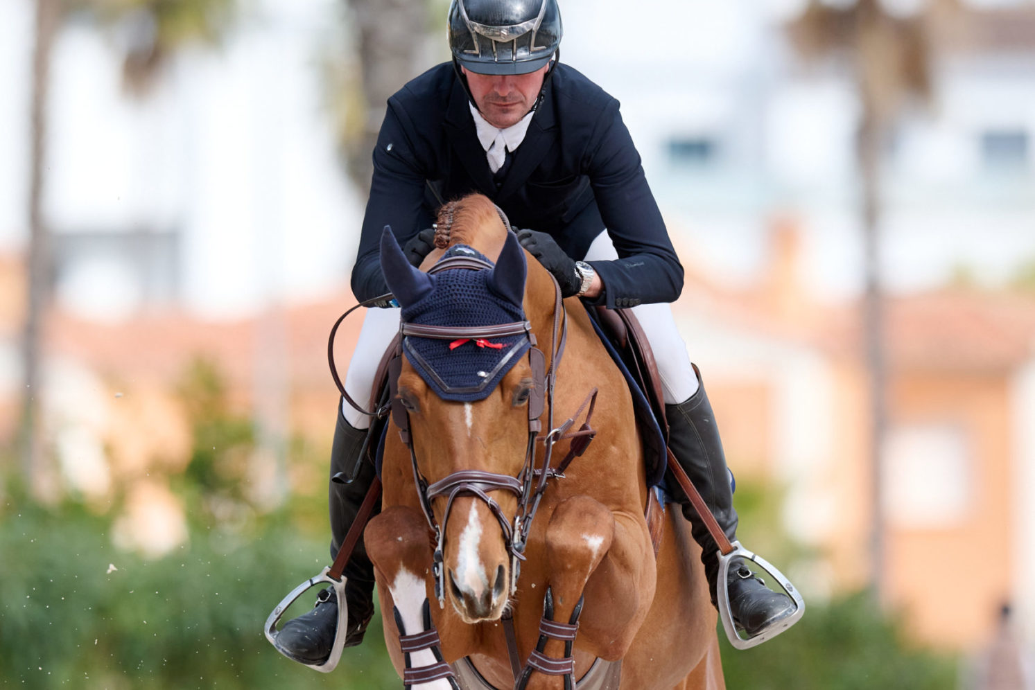 Photographie du cheval