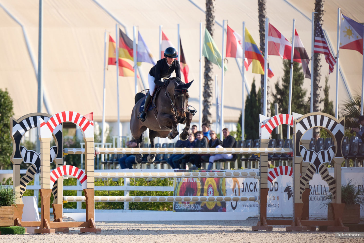 Photographie du cheval