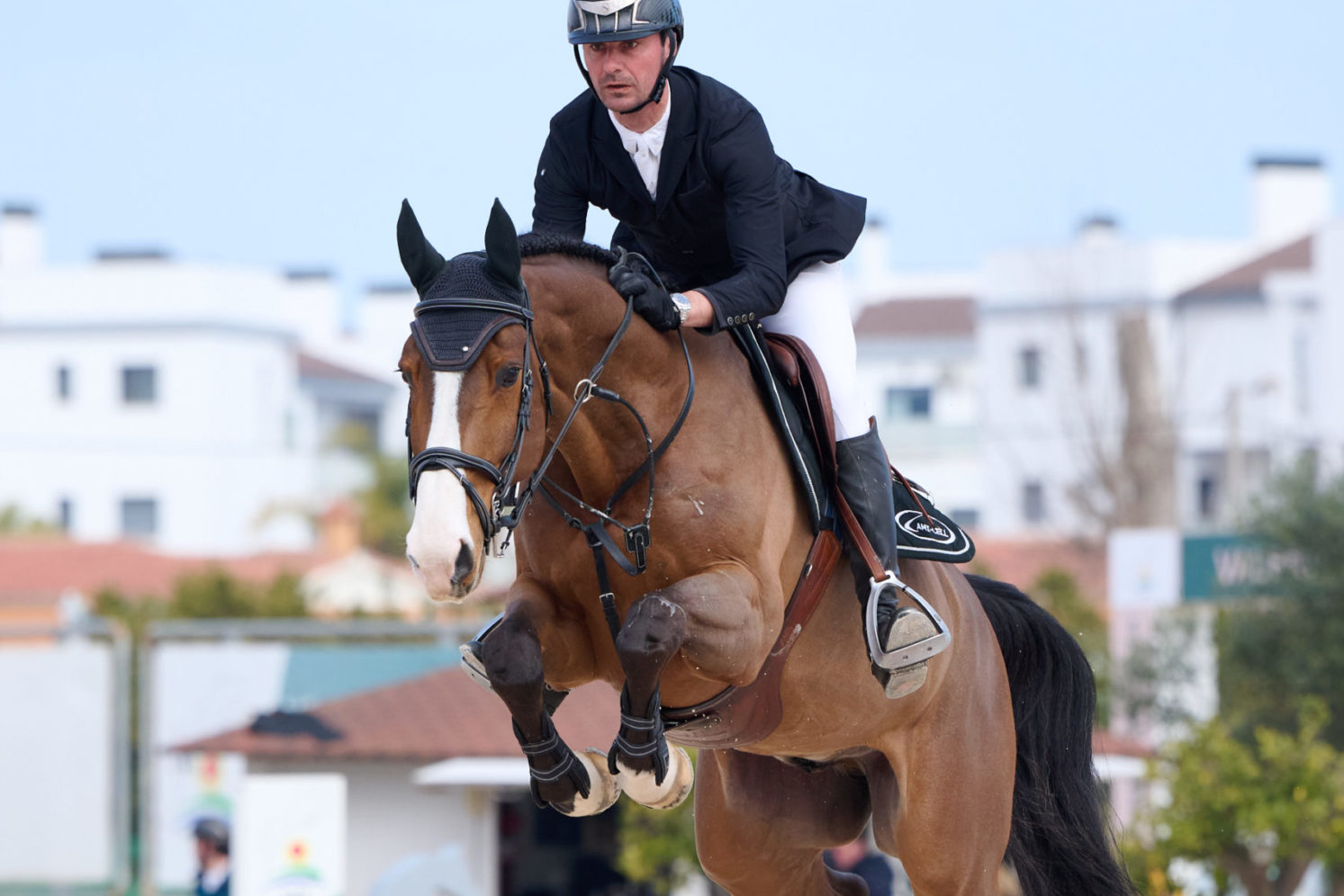 Photographie du cheval