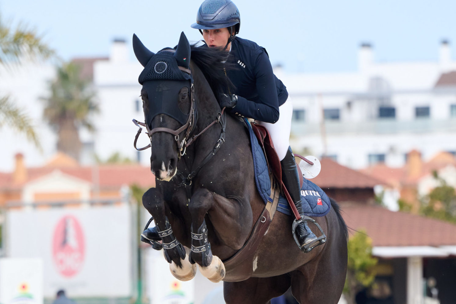 Photographie du cheval