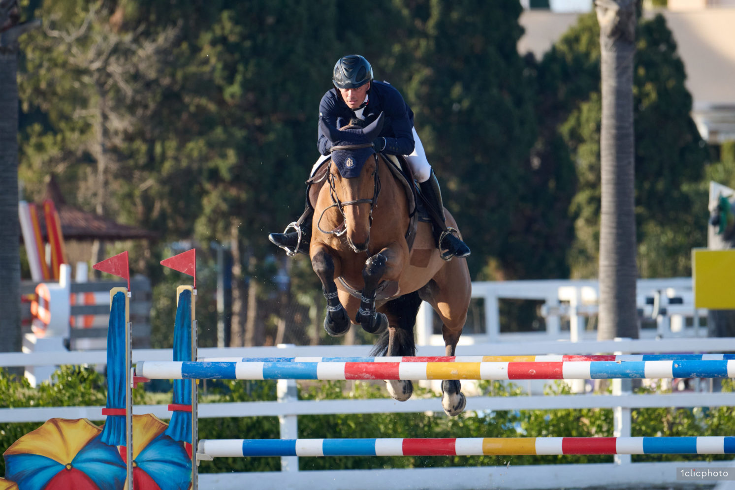 Photographie du cheval