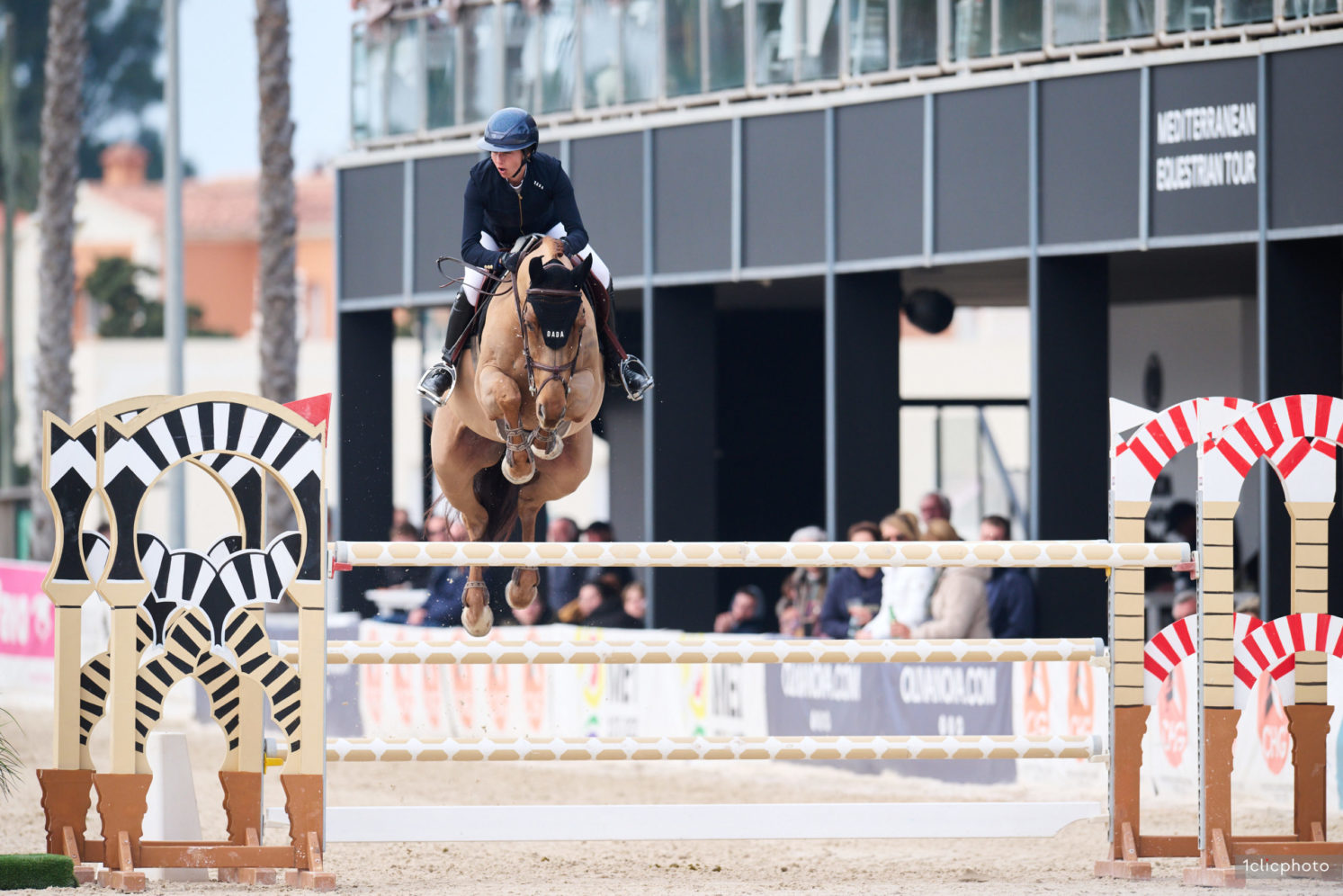 Photographie du cheval