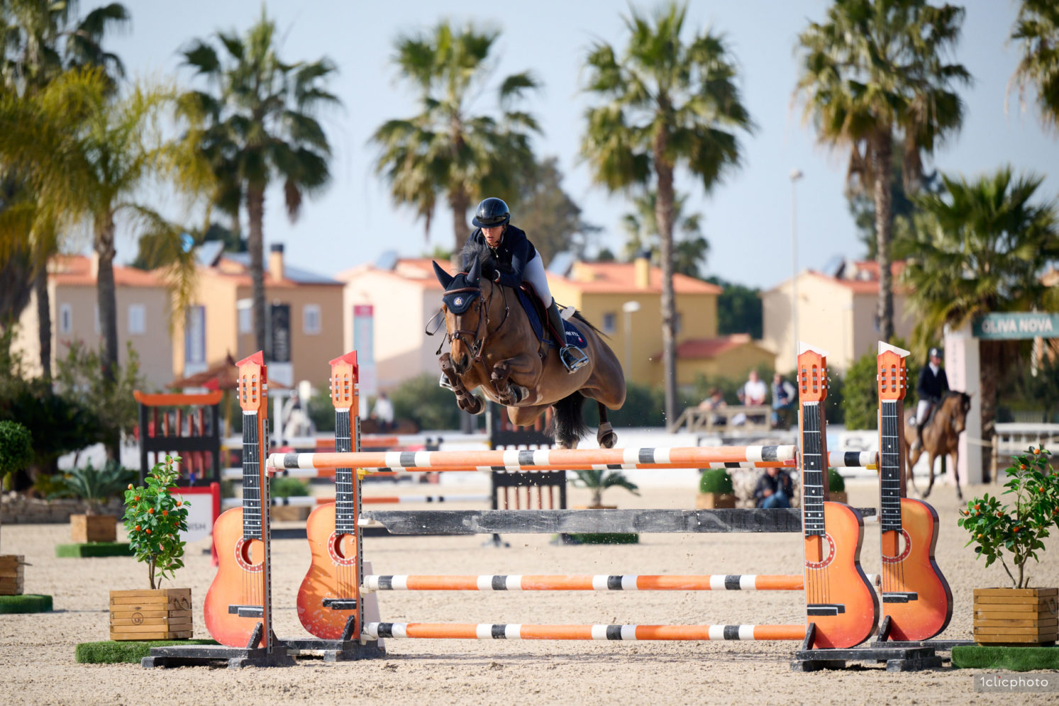 Photographie du cheval