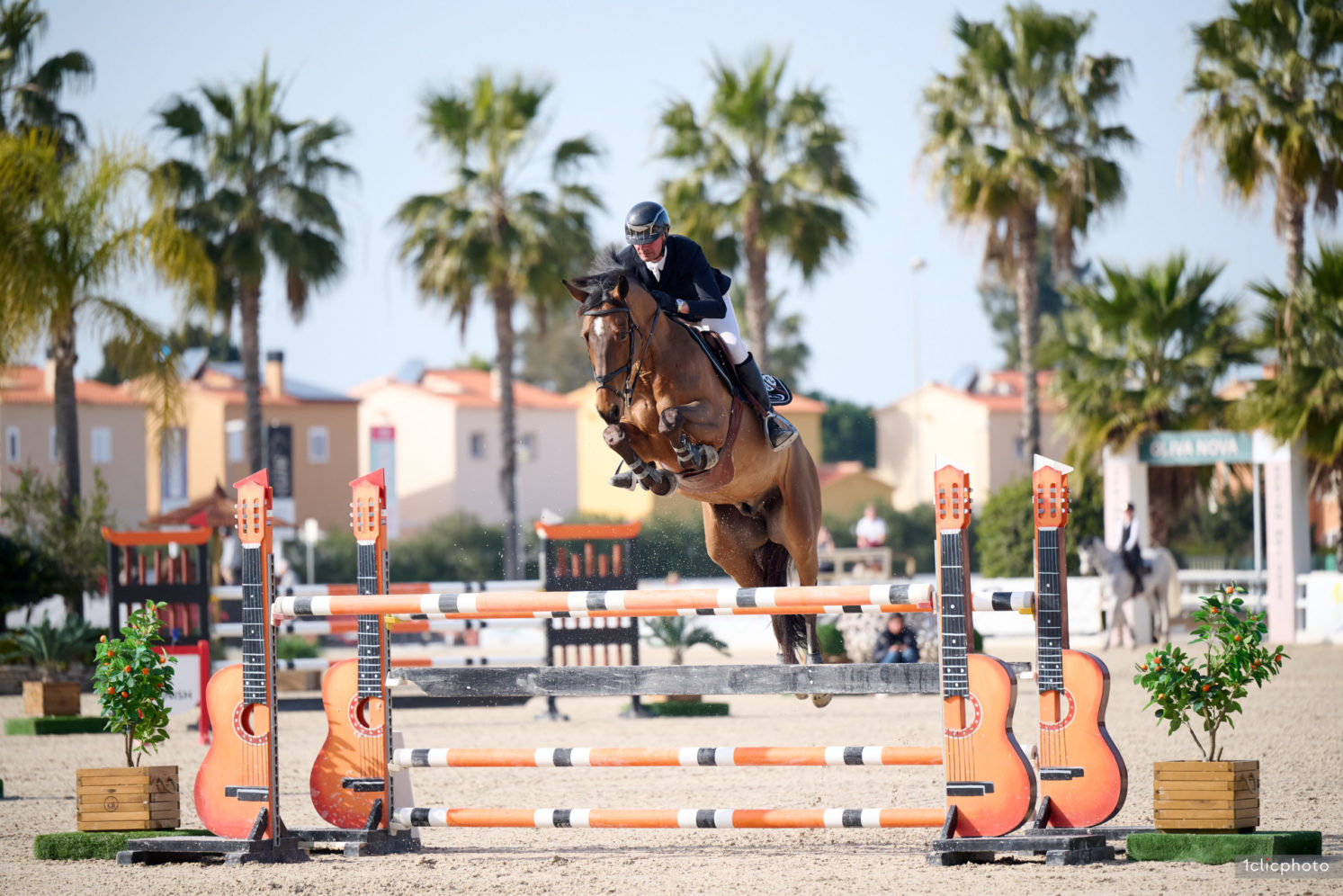 Photographie du cheval