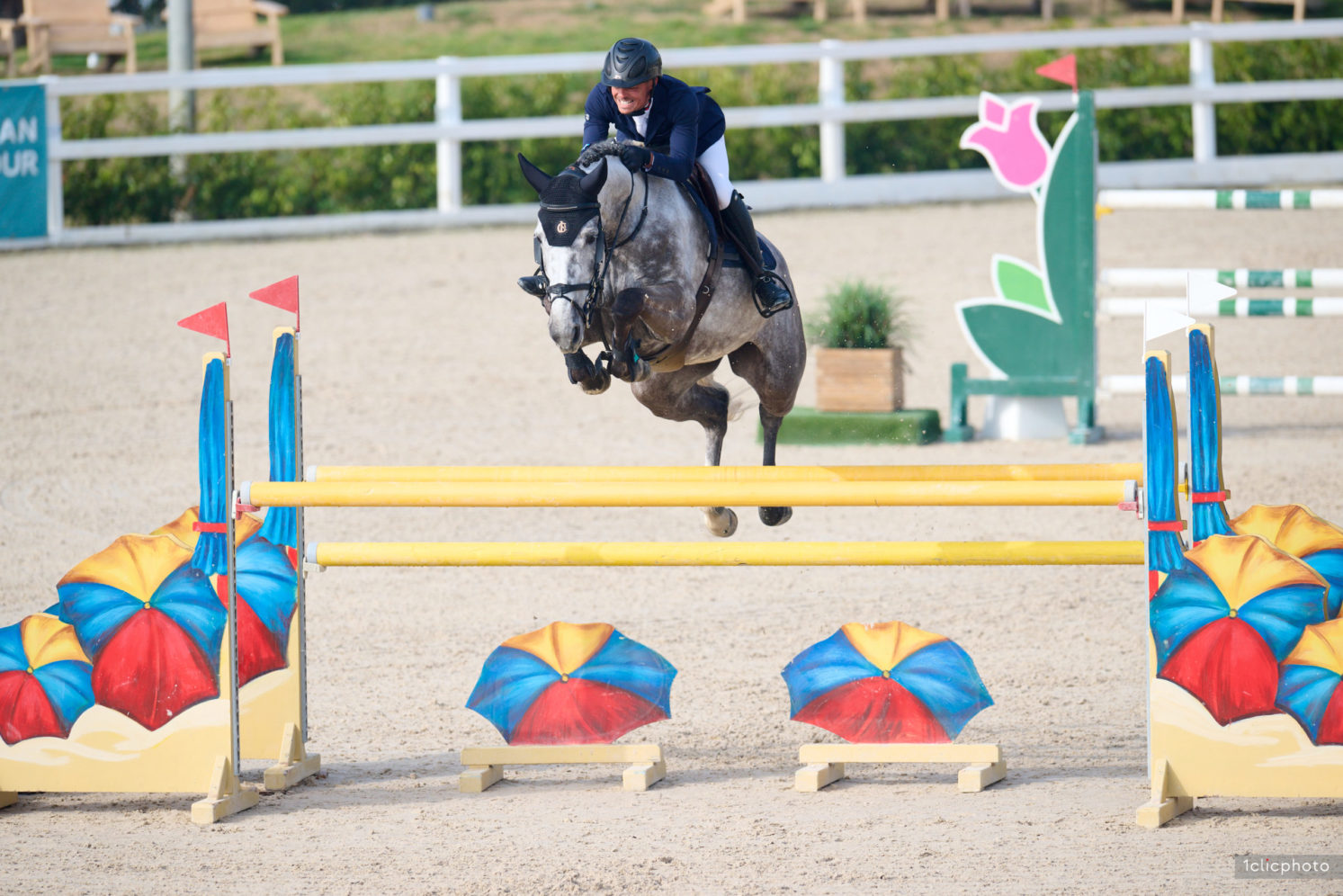 Photographie du cheval