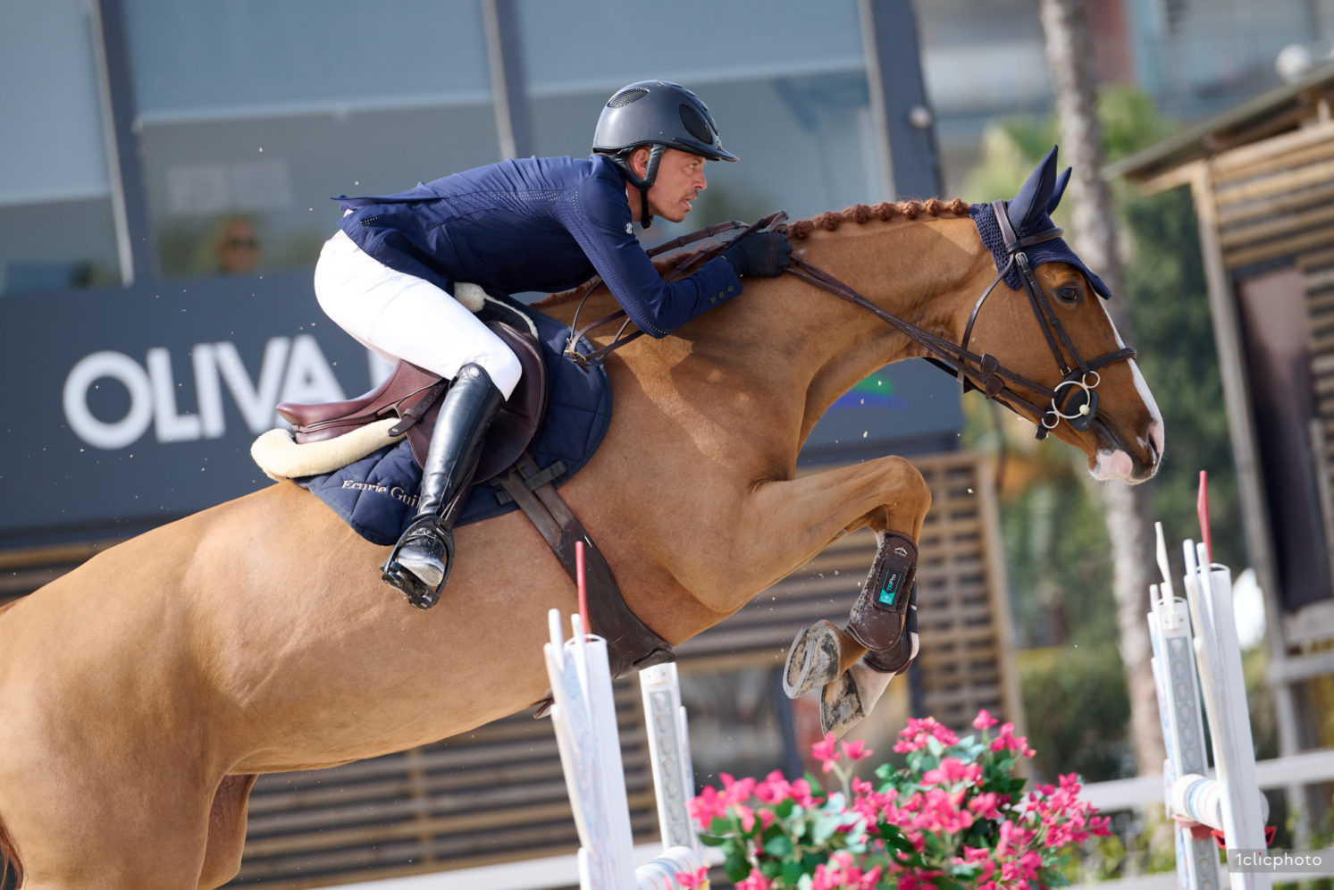 Photographie du cheval