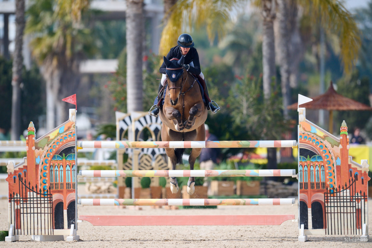 Photographie du cheval
