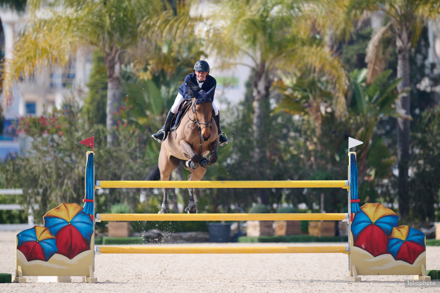 Photographie du cheval