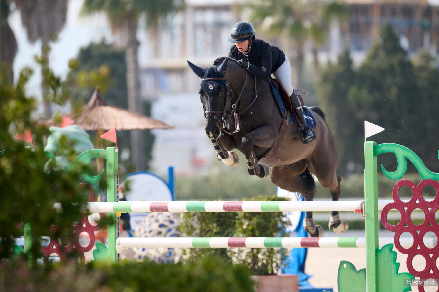 Photographie du cheval