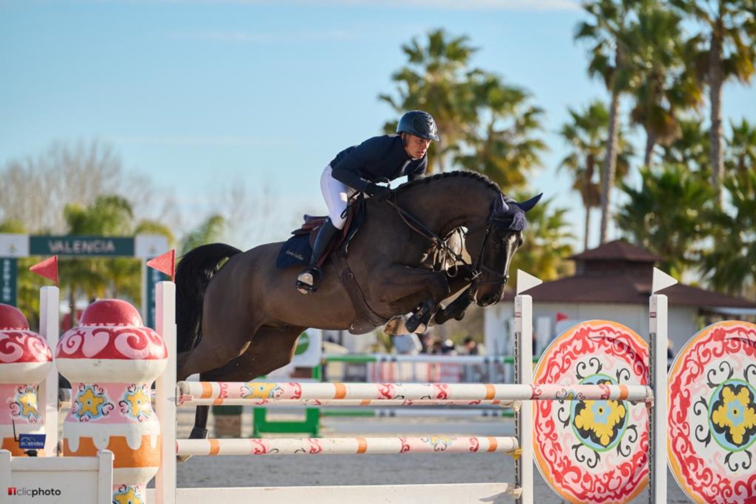 Photographie du cheval