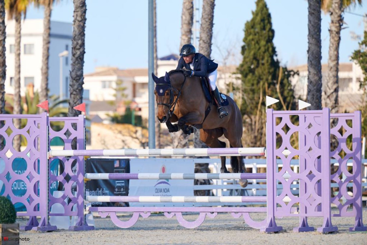 Photographie du cheval