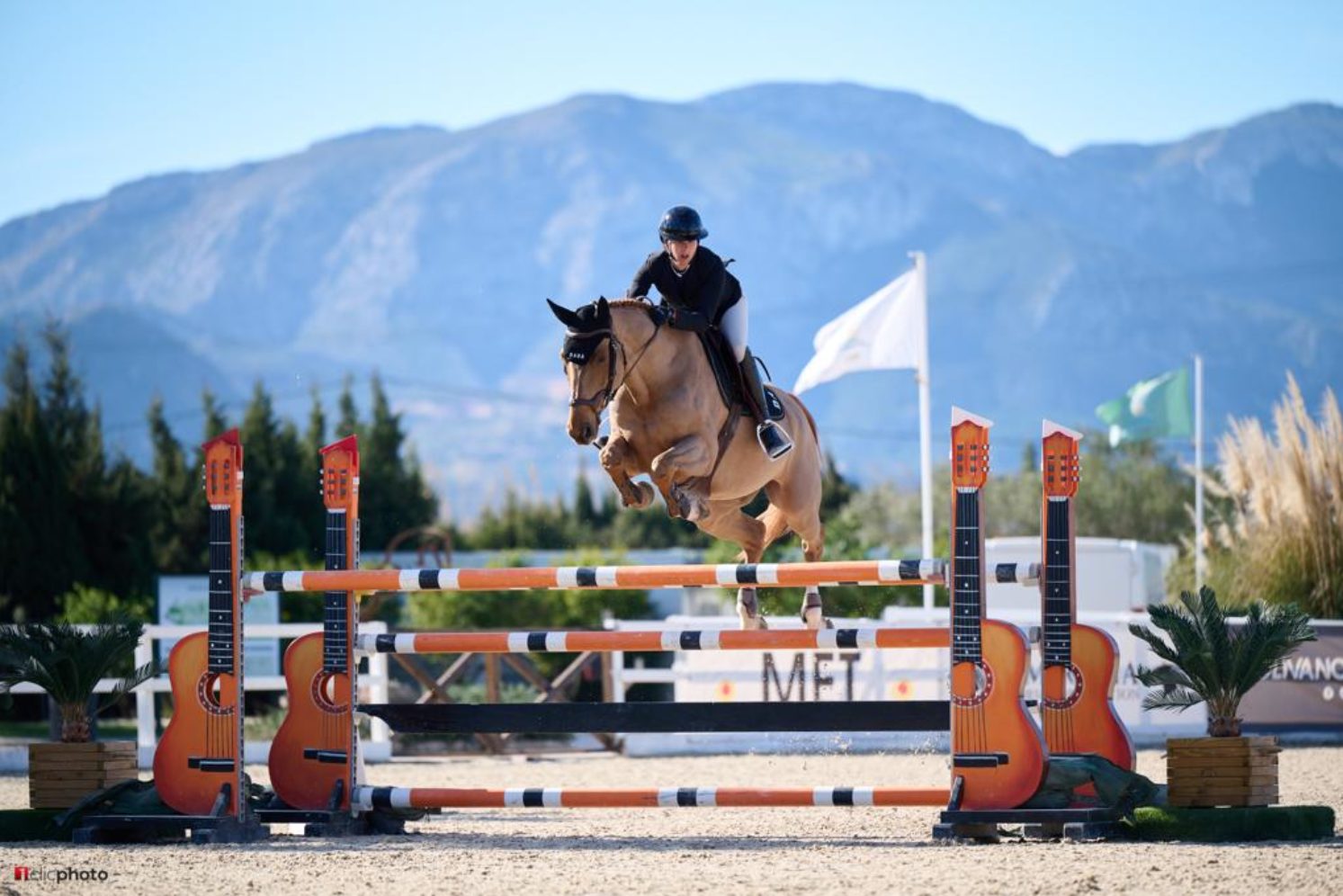 Photographie du cheval