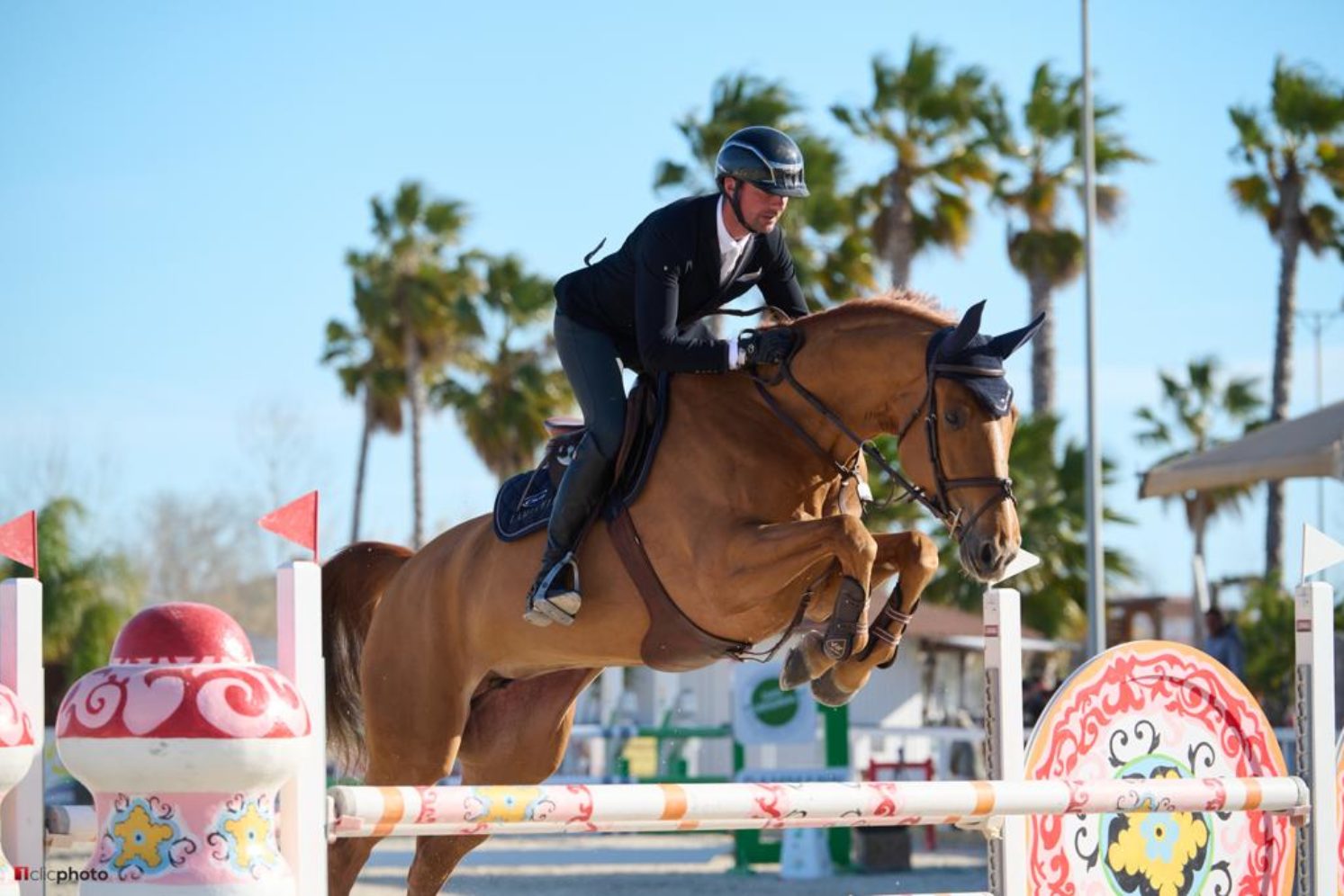 Photographie du cheval