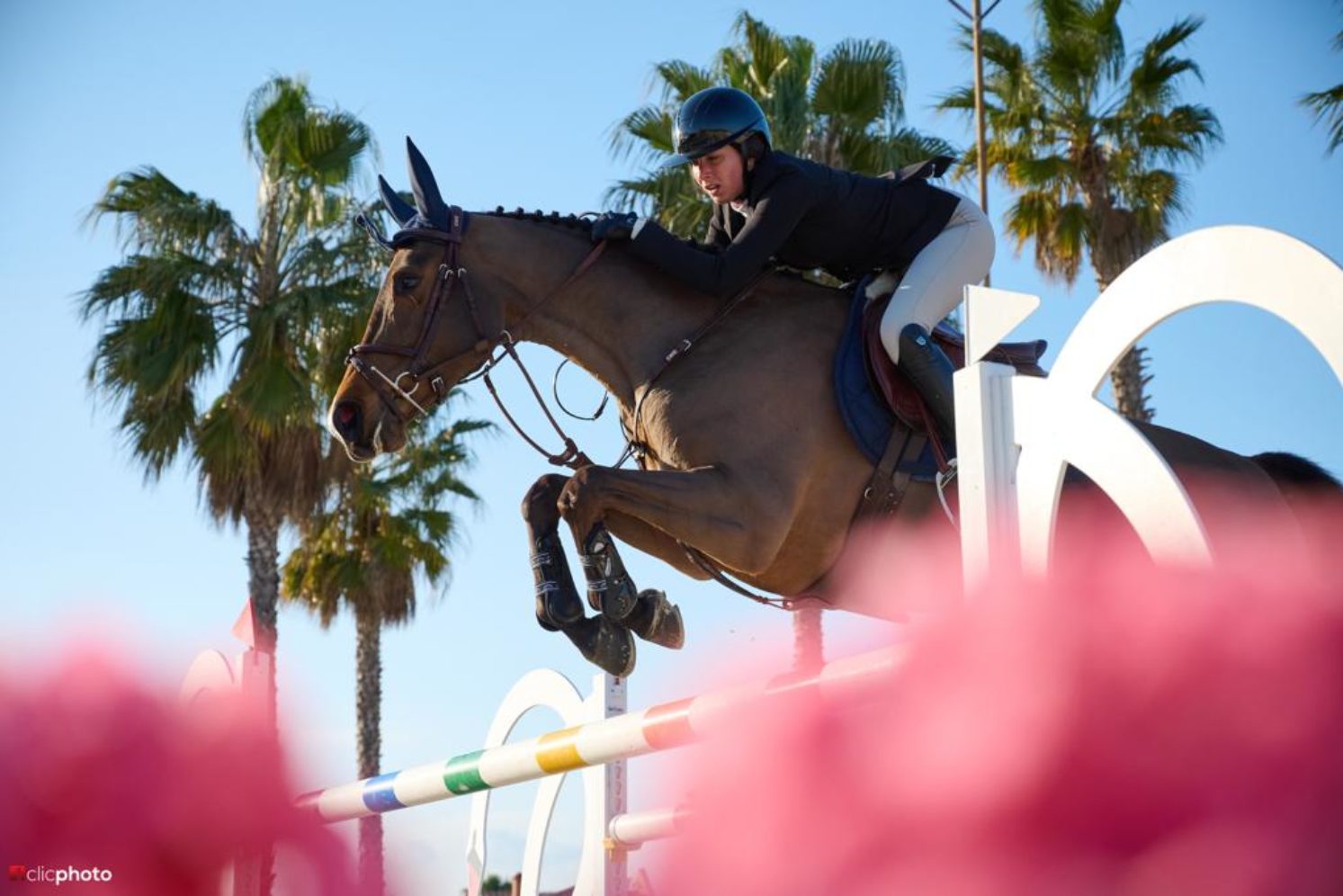 Photographie du cheval