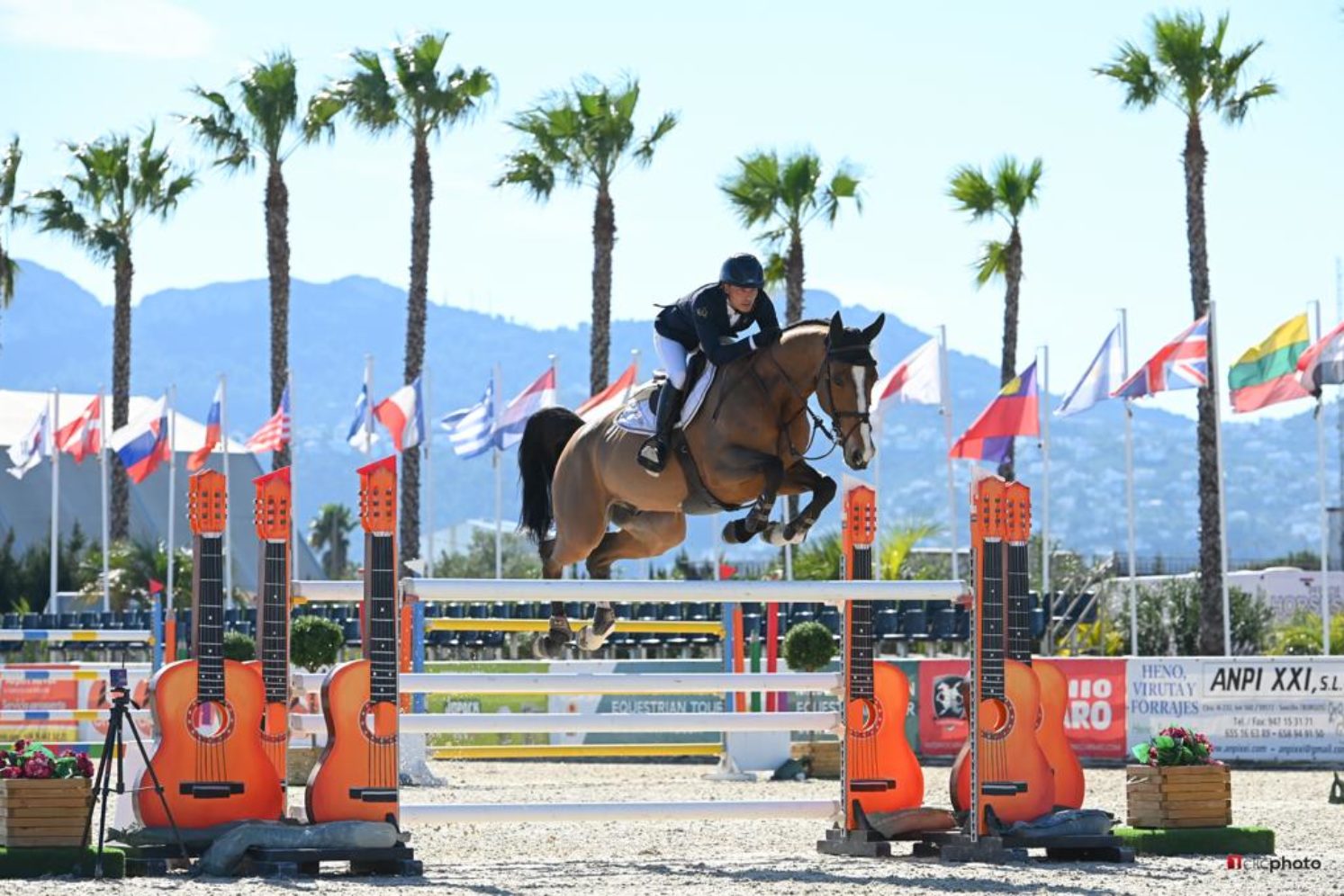 Photographie du cheval