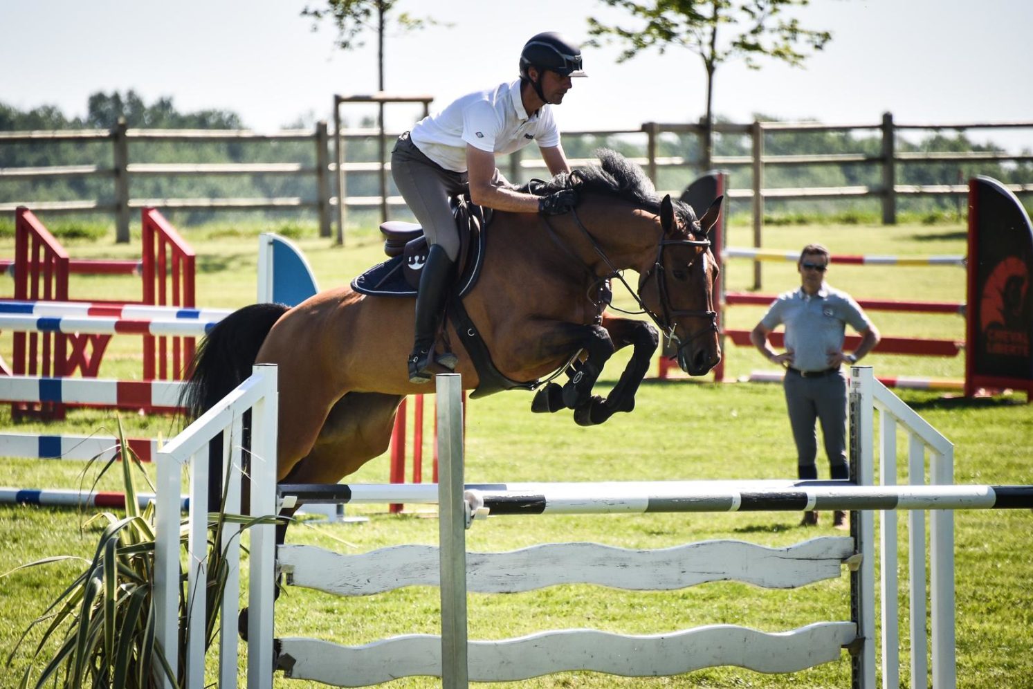 Photographie du cheval