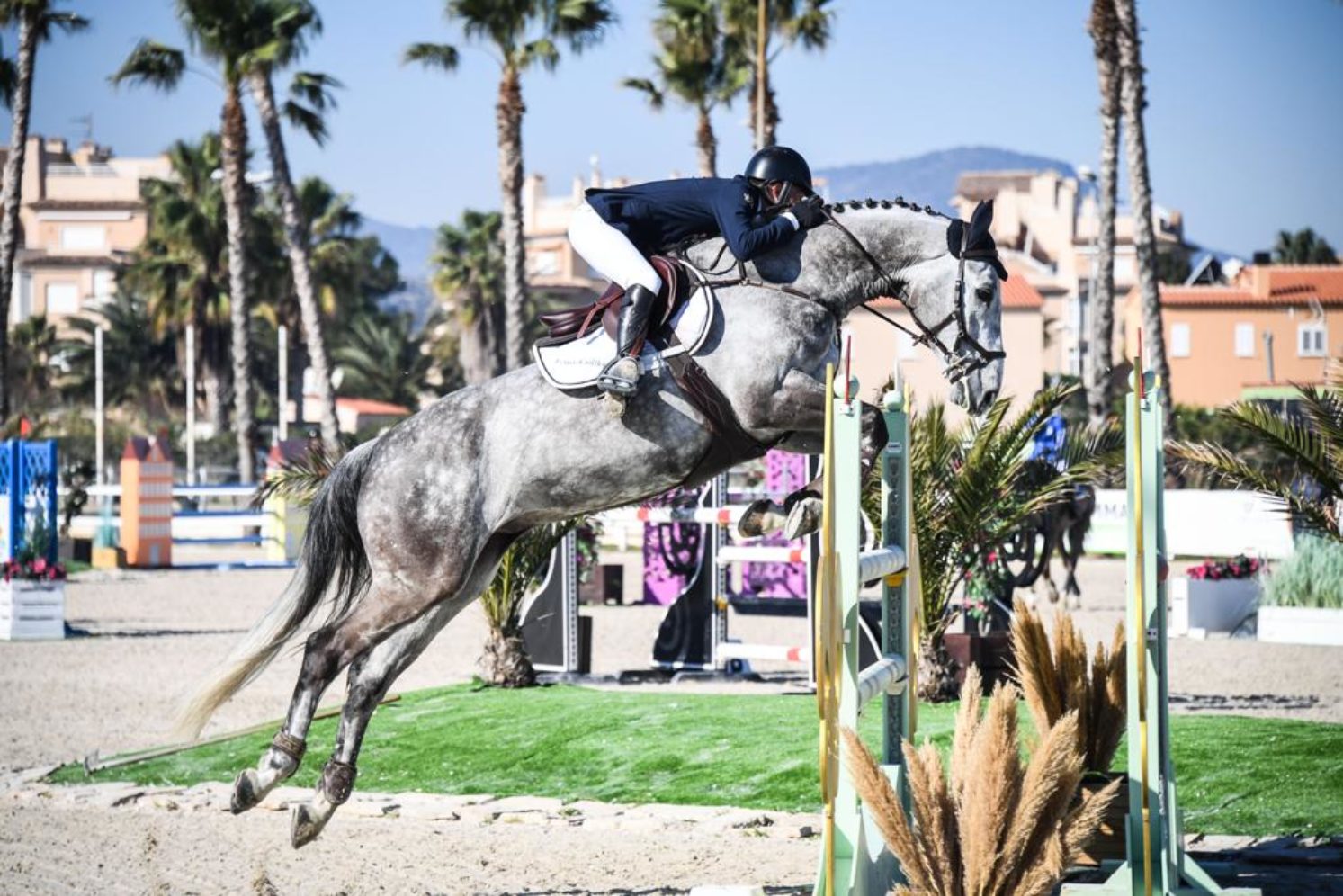 Photographie du cheval