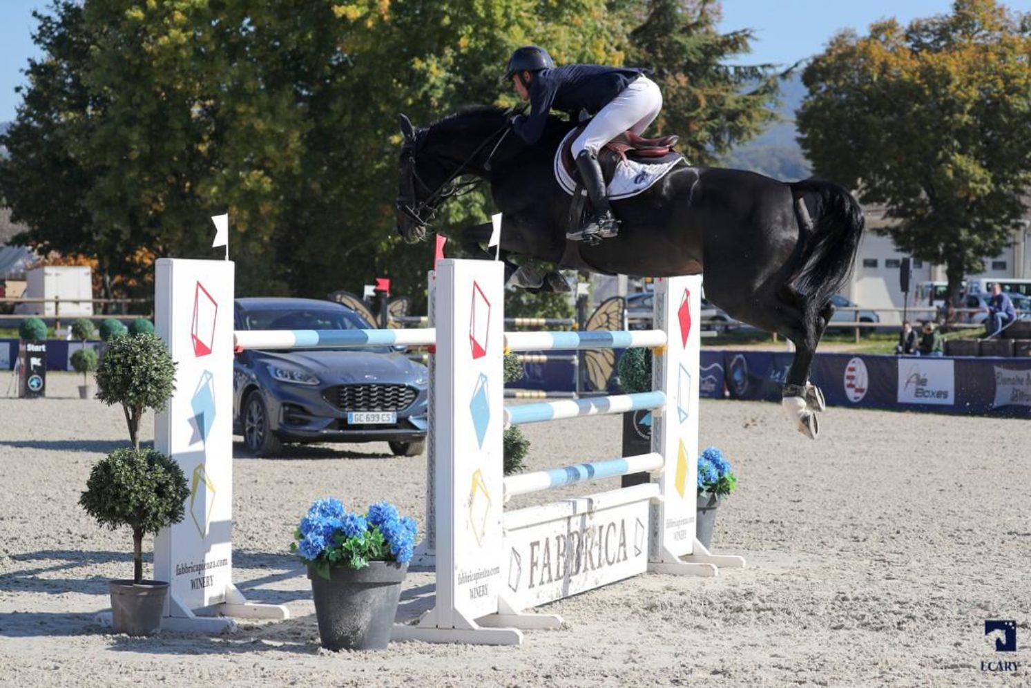 Photographie du cheval