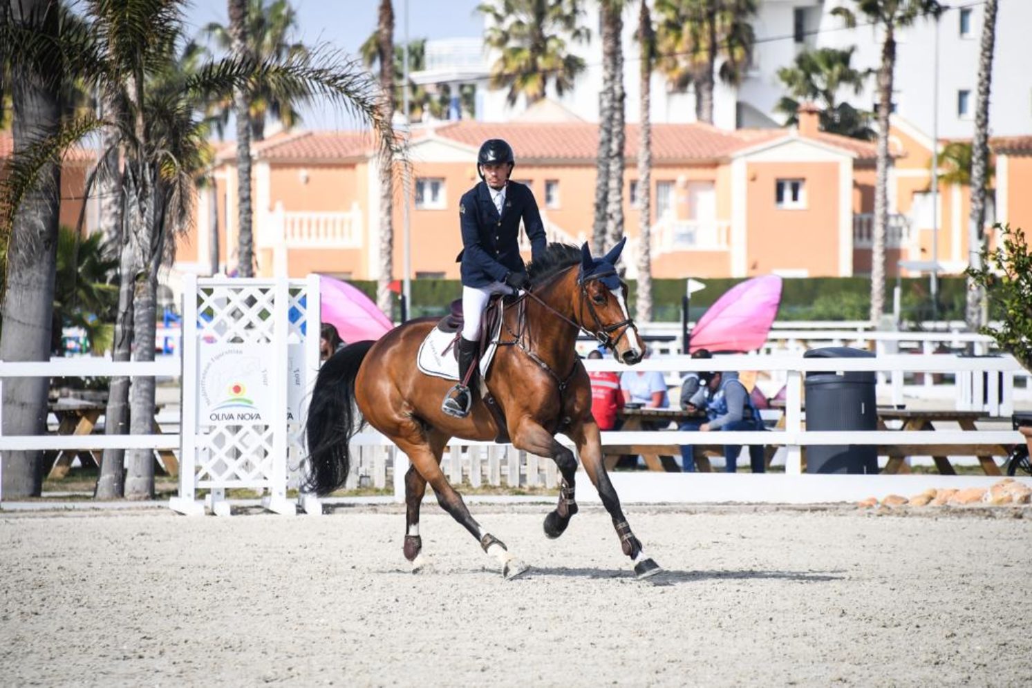 Photographie du cheval