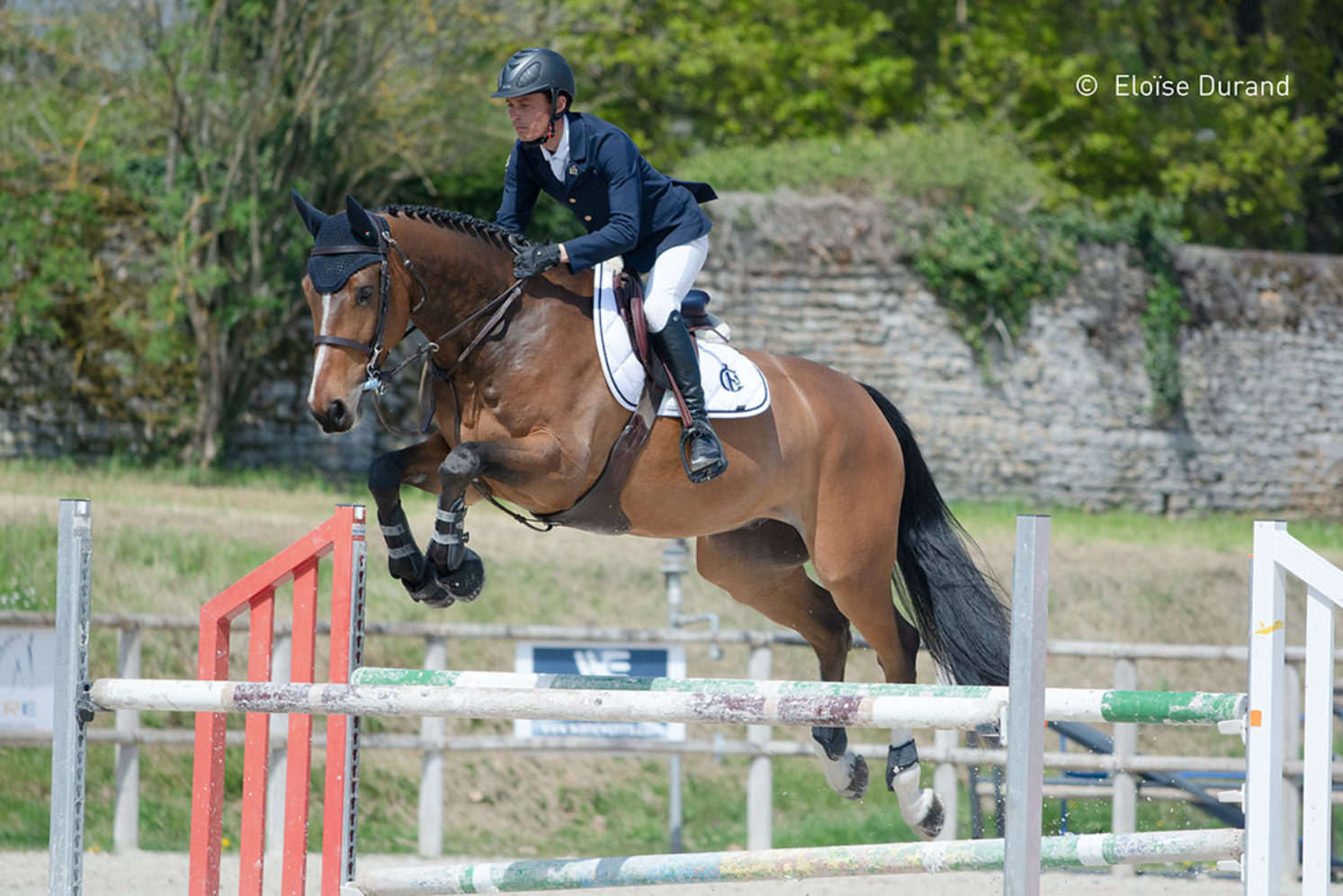 Photographie du cheval