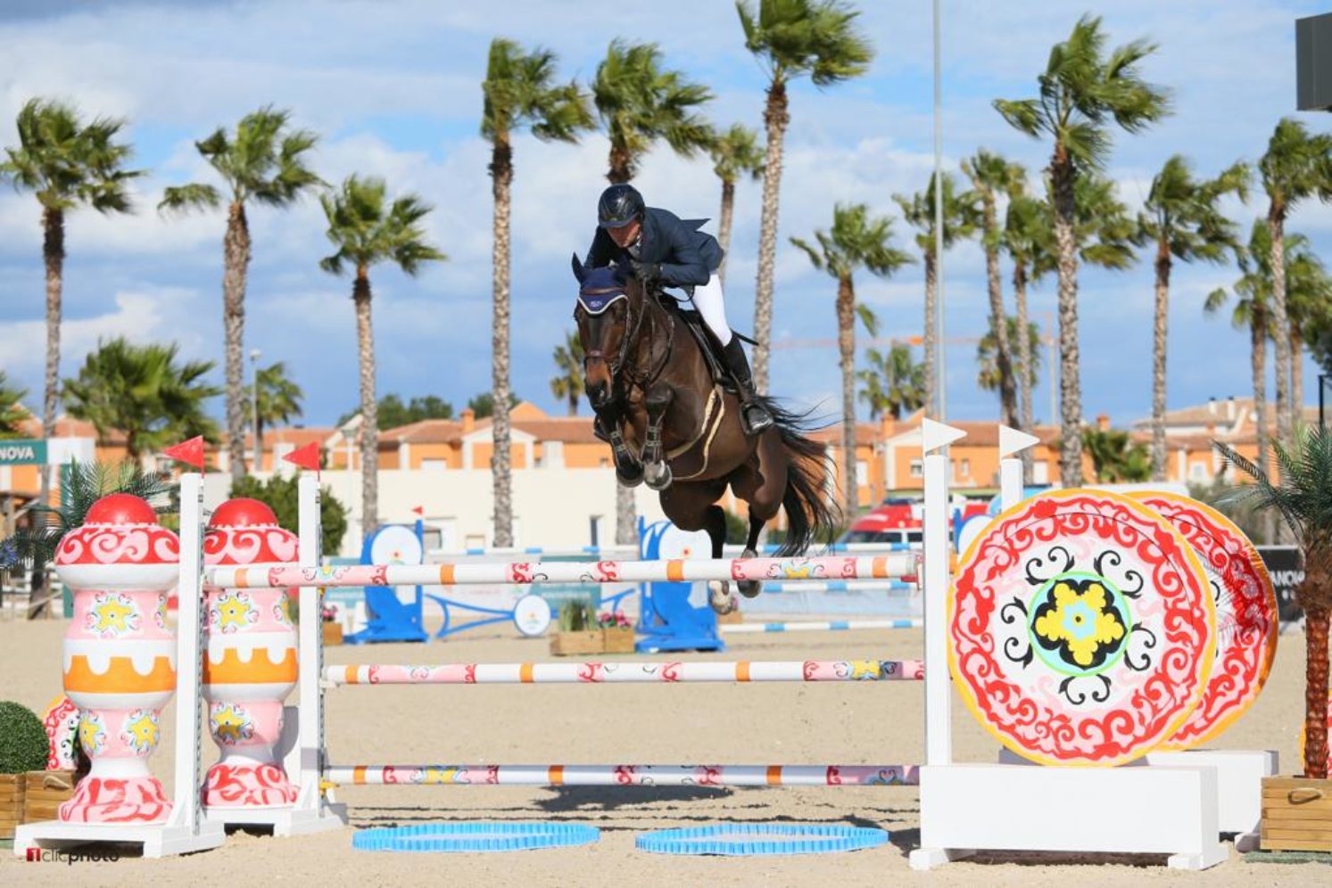 Photographie du cheval