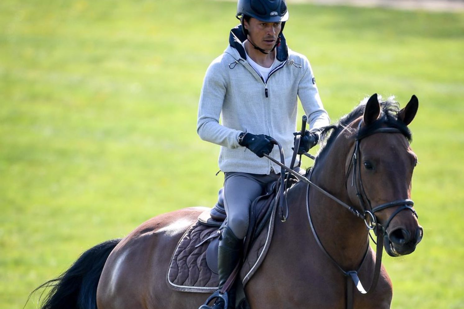 Photographie du cheval