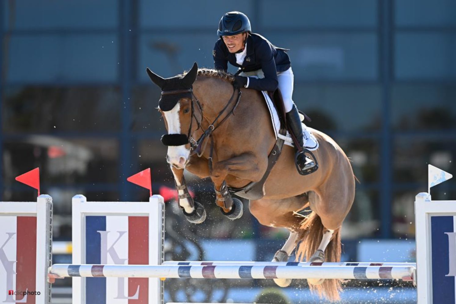 Photographie du cheval