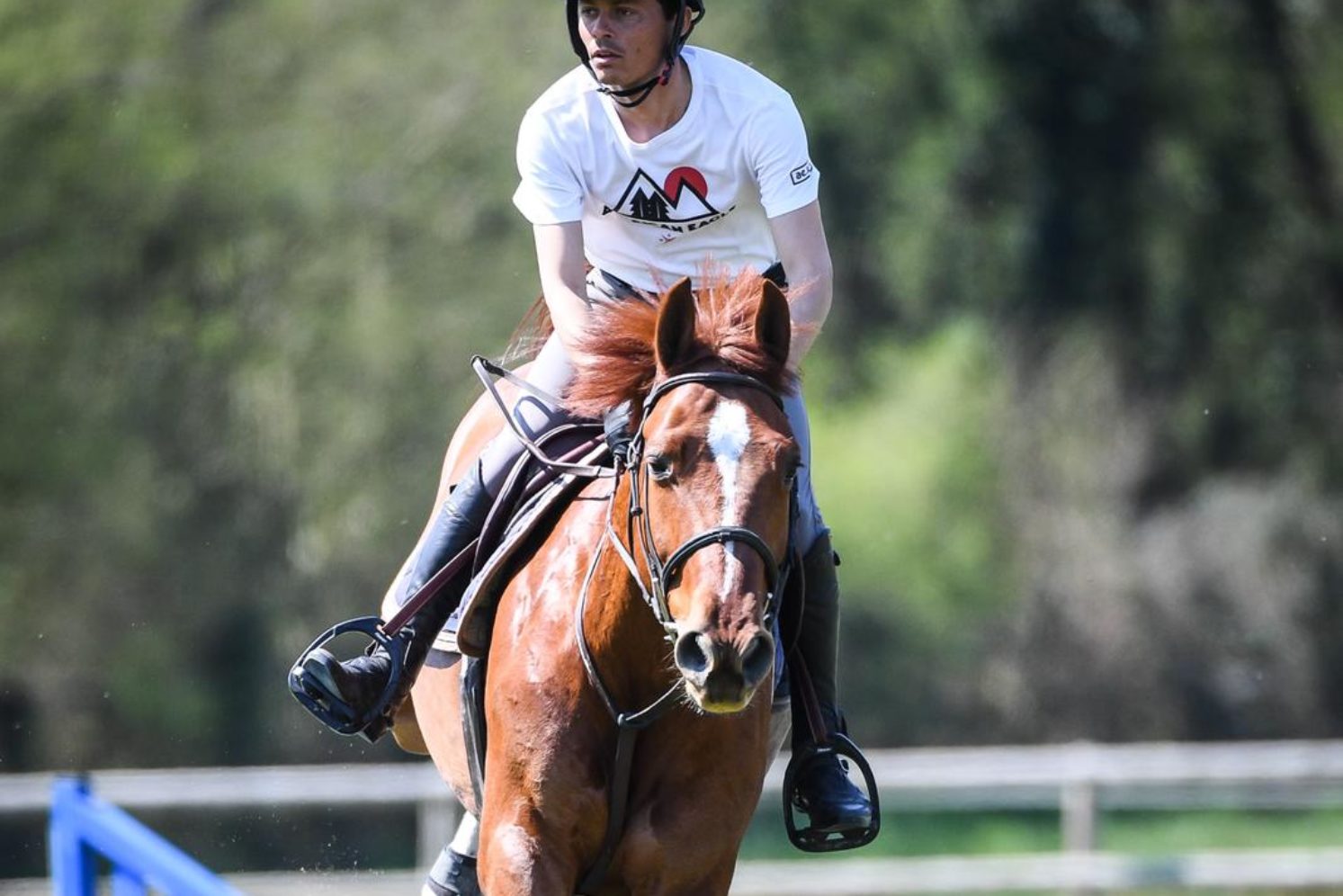 Photographie du cheval