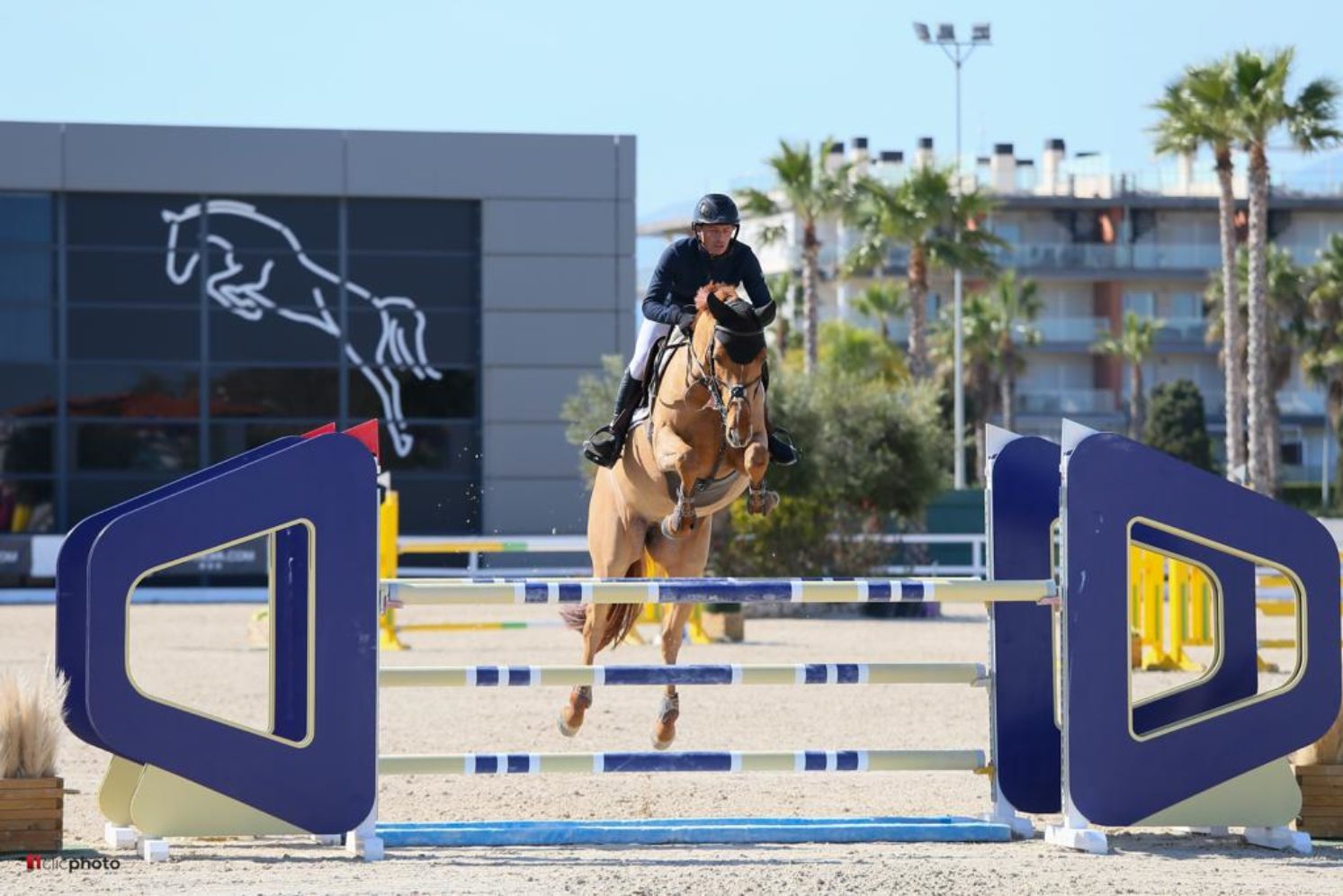 Photographie du cheval