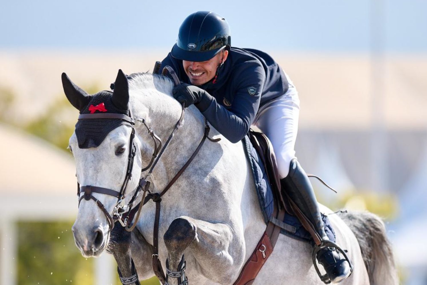 Photographie du cheval