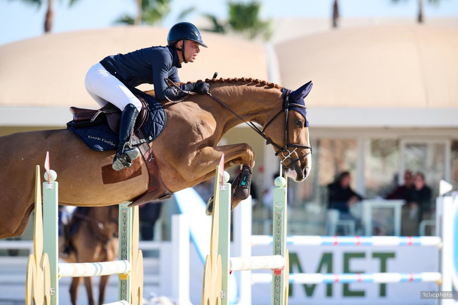 Photographie du cheval