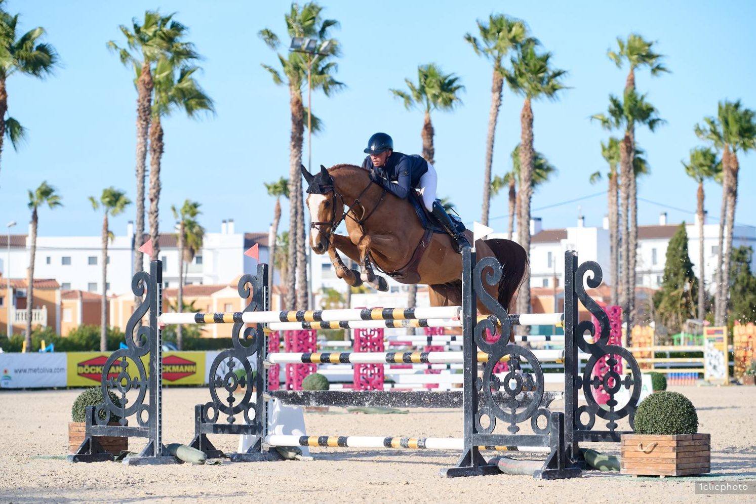 Photographie du cheval