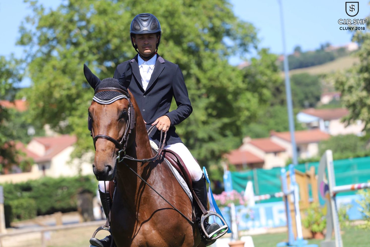 Photographie du cheval