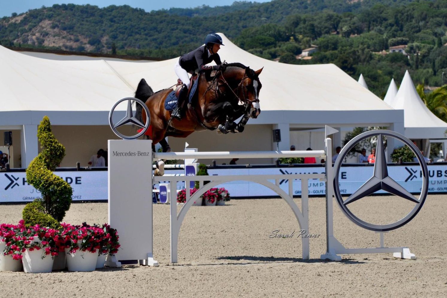 Photographie du cheval