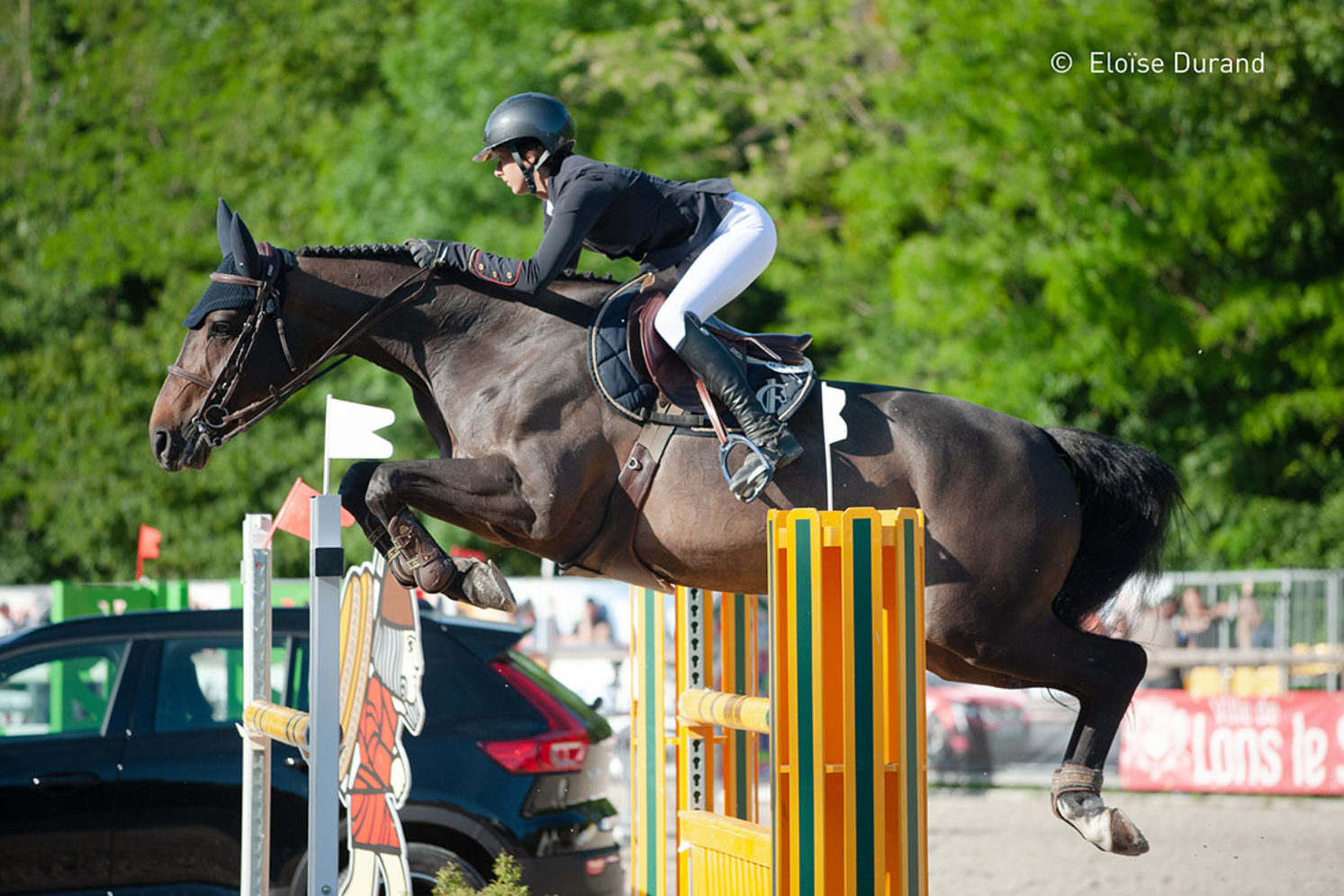 Photographie du cheval