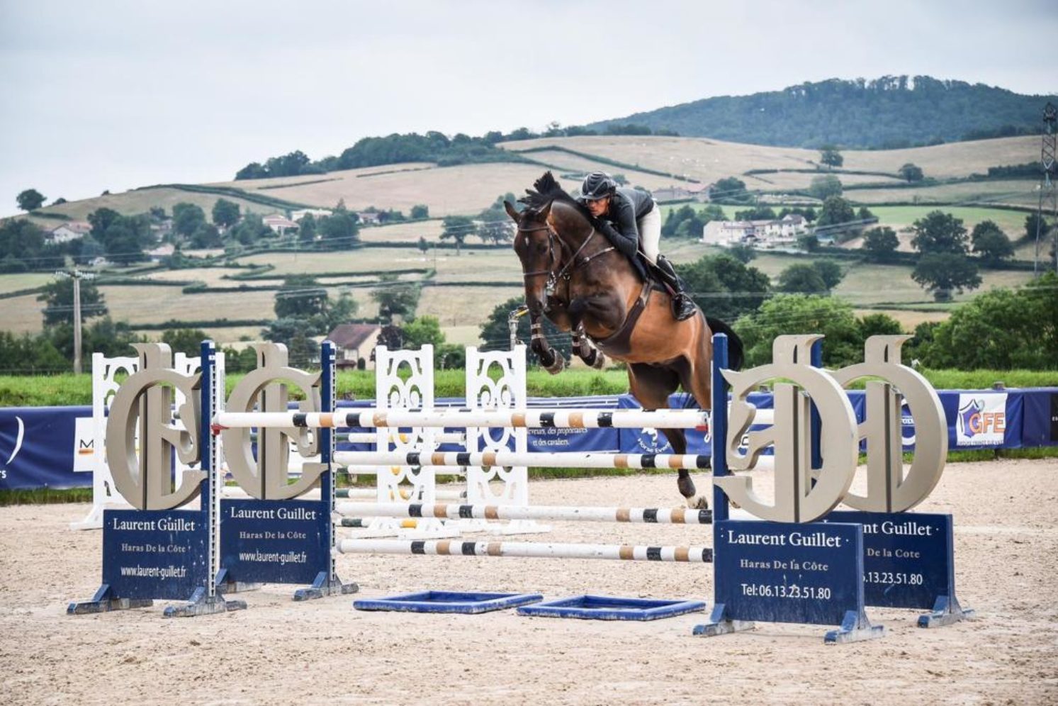 Photographie du cheval