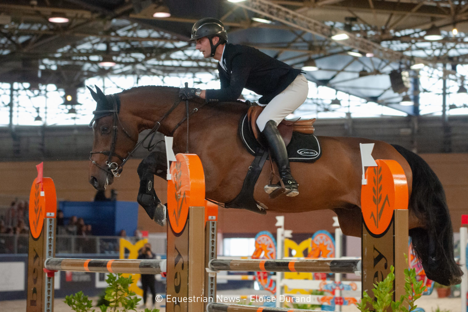 Photographie du cheval