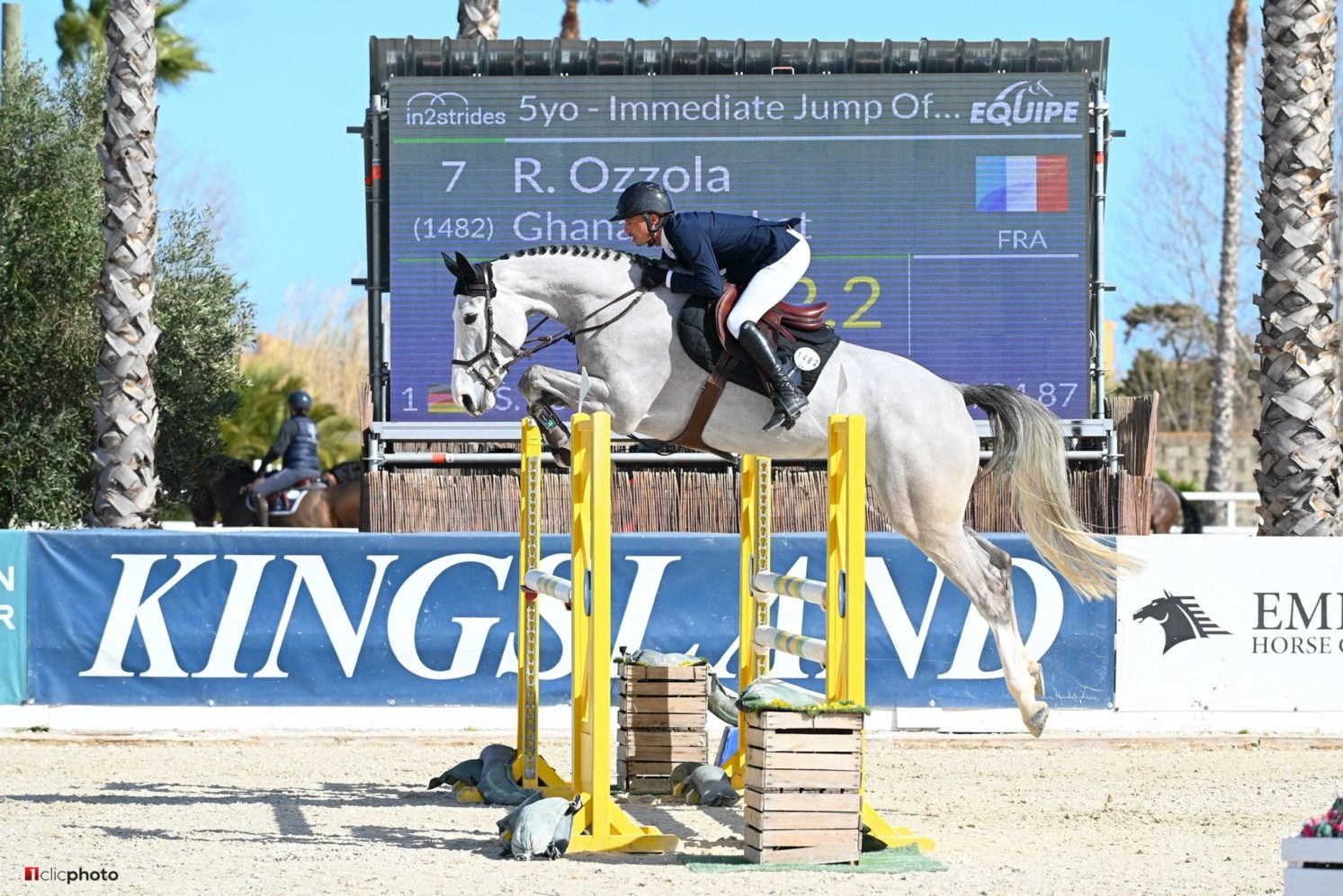 Photographie du cheval