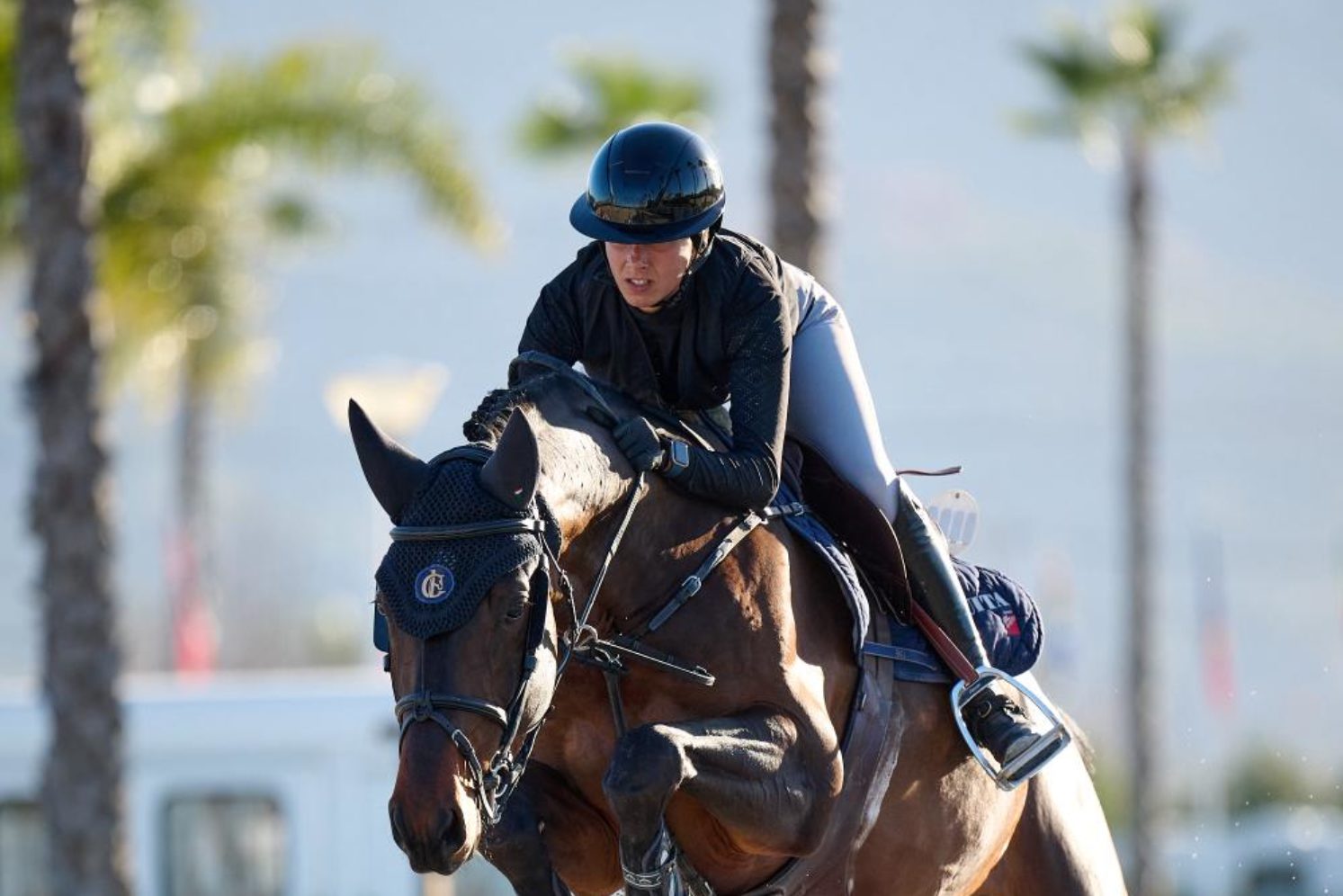 Photographie du cheval