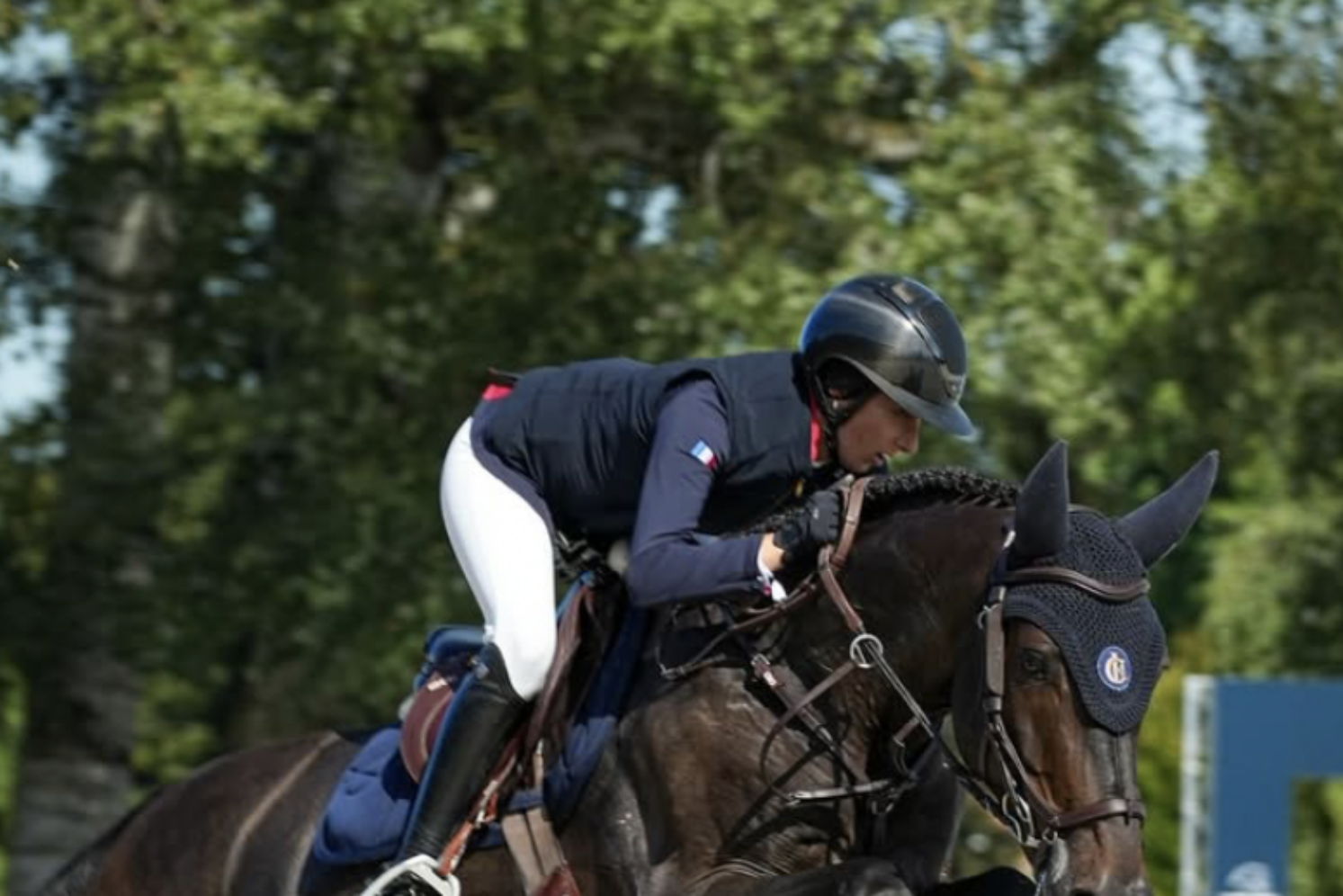 Photographie du cheval