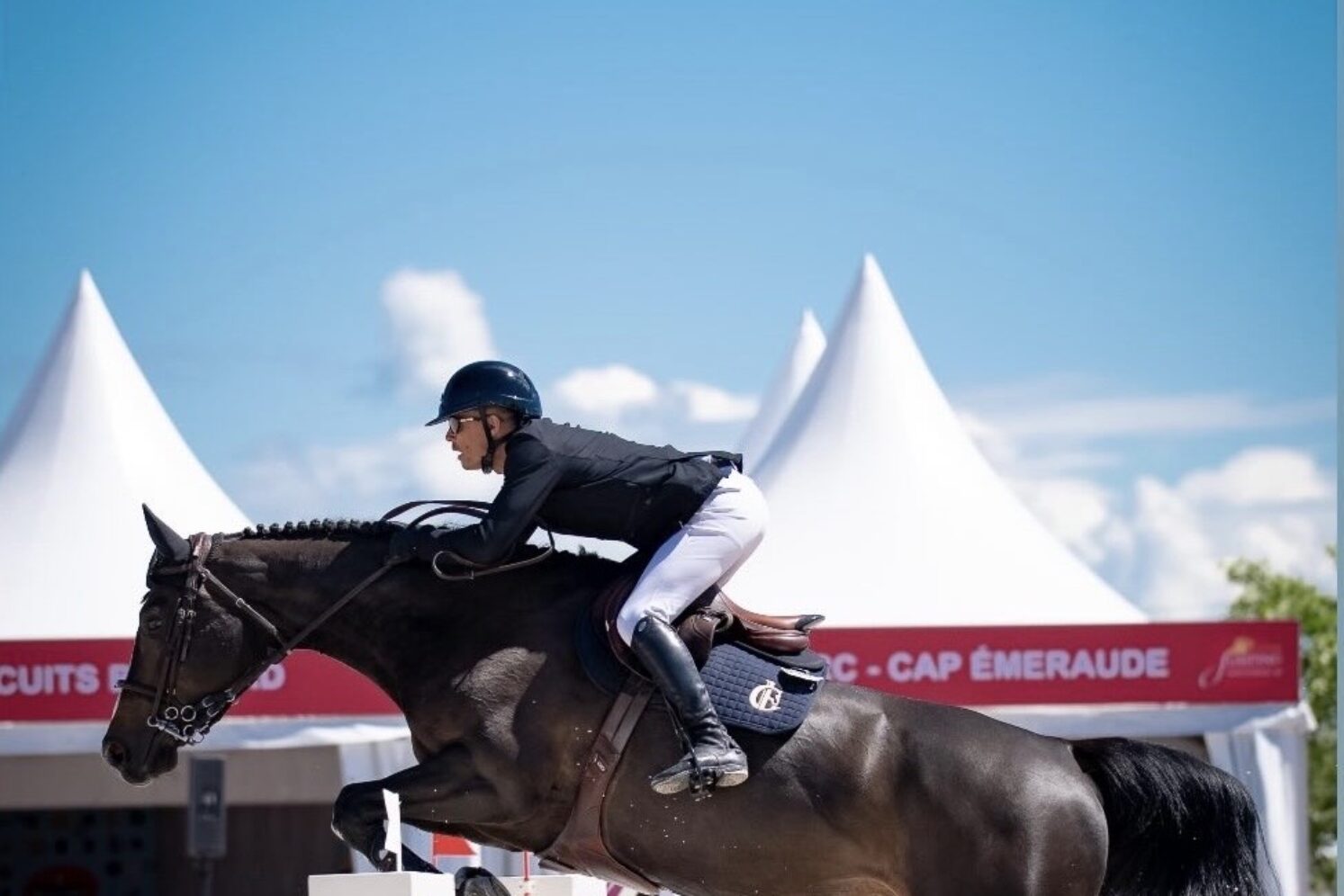 Photographie du cheval