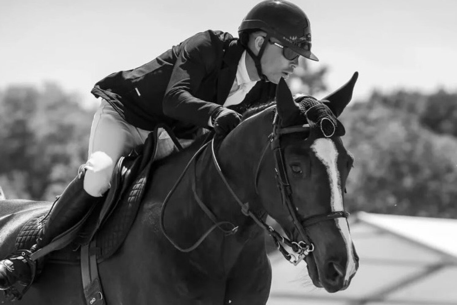 Photographie du cheval