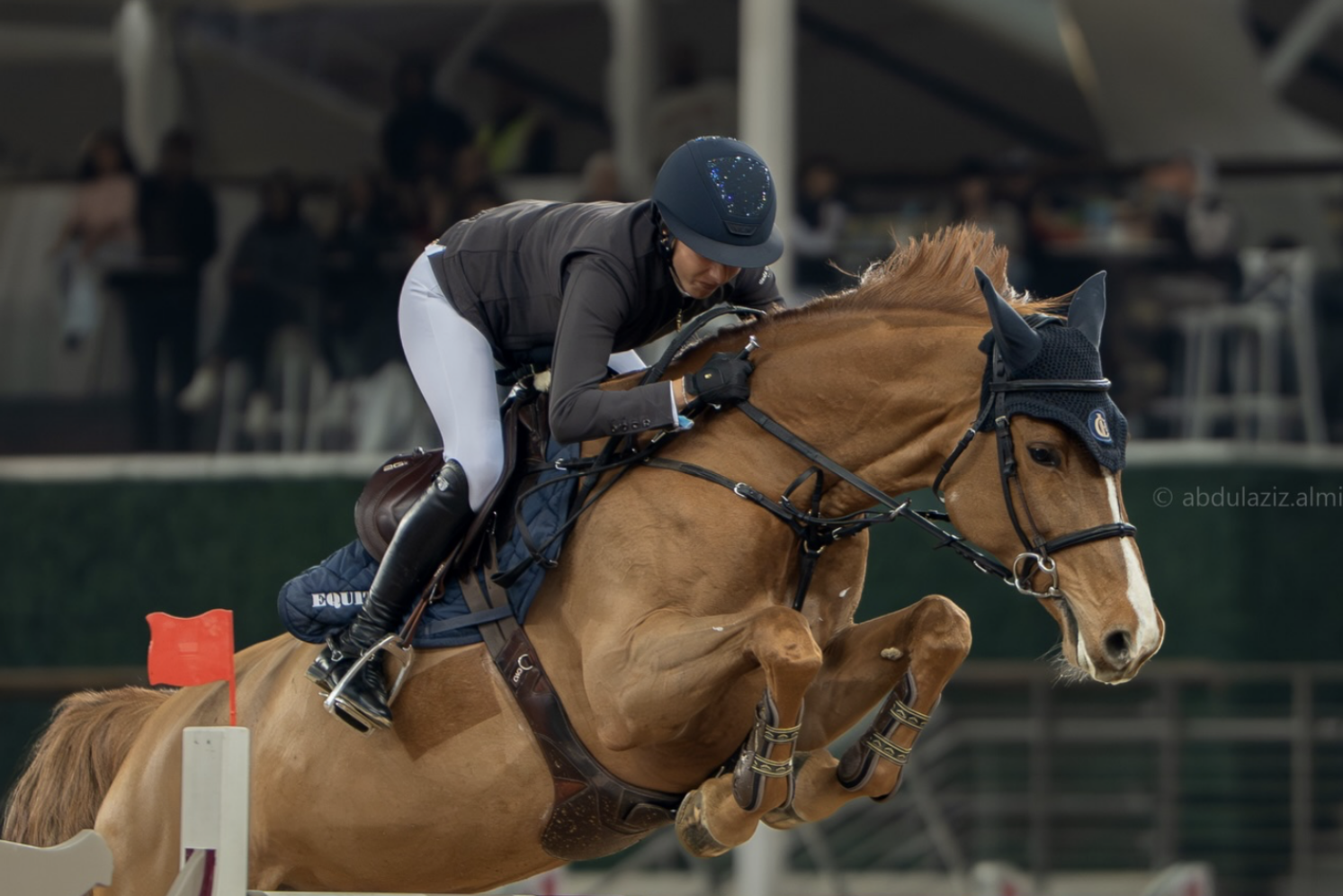 Photographie du cheval