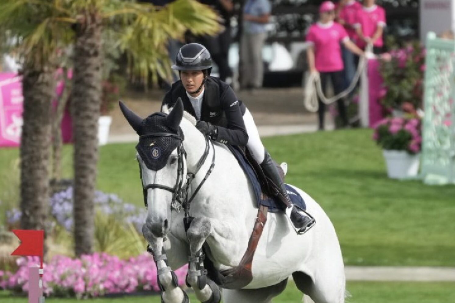 Photographie du cheval