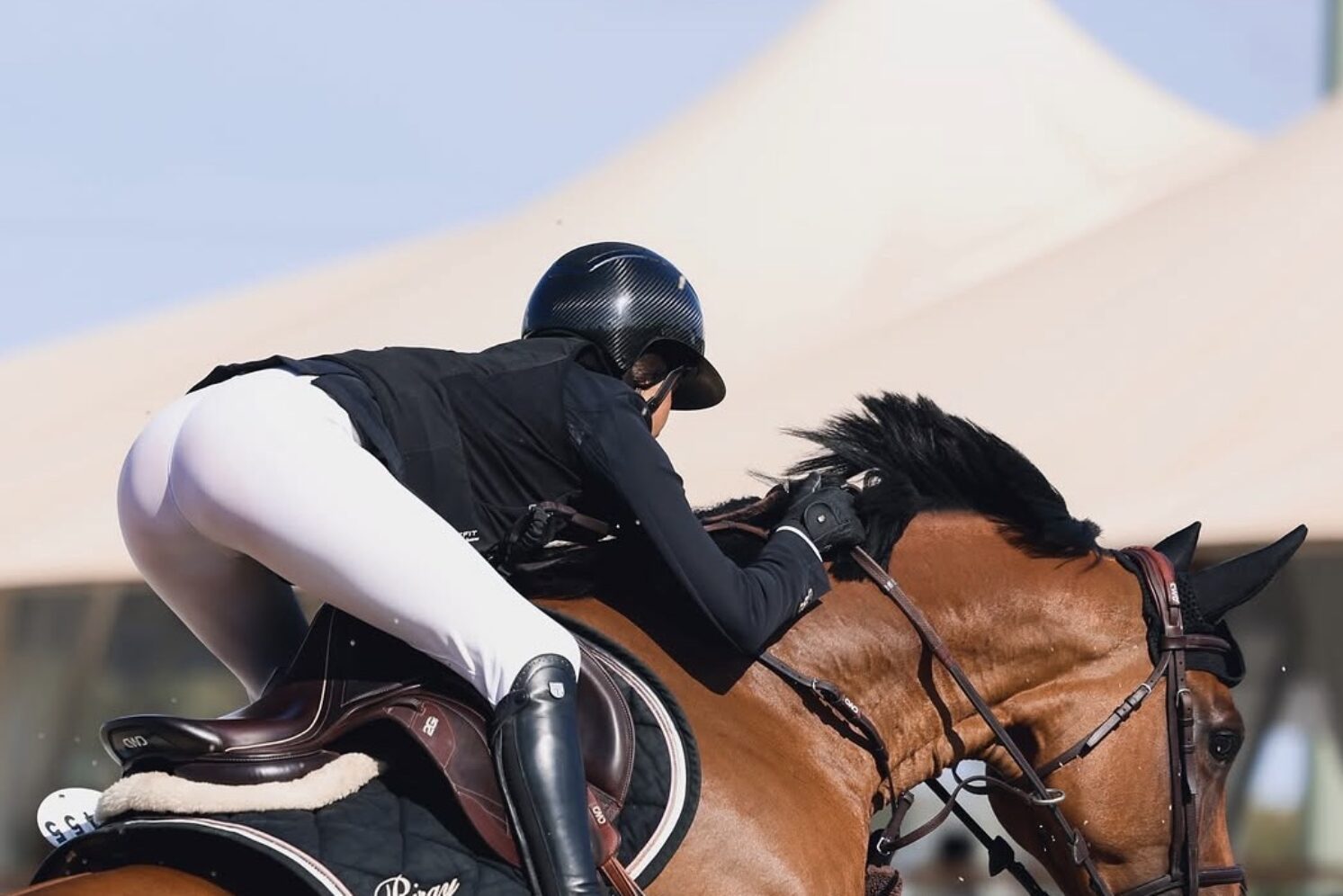 Photographie du cheval
