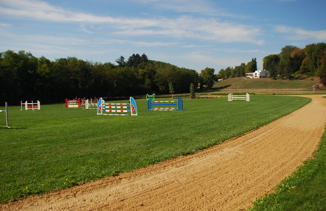 Photographie du galop