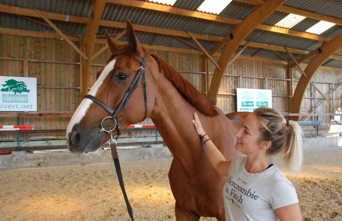 Photographie du manège